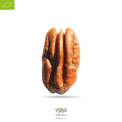 DRIED FRUITS / Pecan Nuts - Halves - SOUTH AFRICA - 5 Kg - Organic* (*Certified Organic by FR-BIO-10)