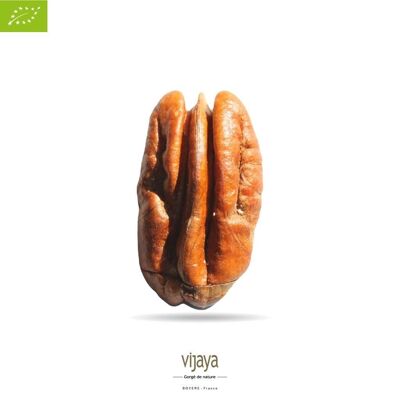 FRUTAS SECAS / A GRANEL Nueces Pecanas - Mitades - SUDÁFRICA - 2.5 kg - Orgánico*