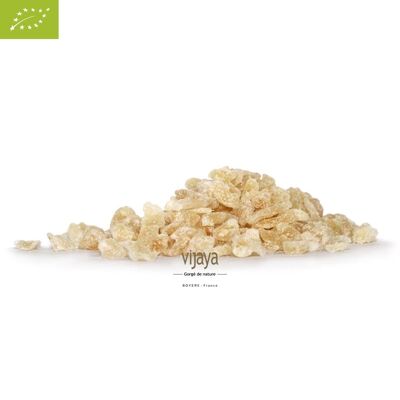 Candied Ginger - Broken - CHINA - 5 Kg - Organic* & Fair Trade (*Certified Organic by FR-BIO-10)