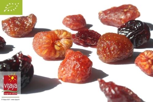 FRUITS SECS / Mélange Fruits Rouges (Fraise,Framboise,Cerise,Cranberry)-5Kg - Bio* (*Certifié Bio par FR-BIO-10)