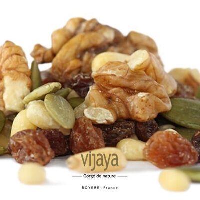 DRIED FRUITS / Mix for Salads (Grapes, Pine Nuts, Squash, Walnuts) - 5 Kg - Organic* (*Certified Organic by FR-BIO-10)