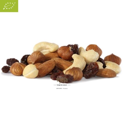 FRUITS SECS / Mélange VIJAYA (Raisin, Noisette, Noix de Cajou, Amande) - 5kg -Bio* (*Certifié Bio par FR-BIO-10)