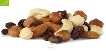 FRUITS SECS / Mélange VIJAYA (Raisin, Noisette, Noix de Cajou, Amande) - 250g -Bio* (*Certifié Bio par FR-BIO-10) 2