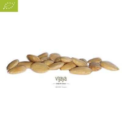 DRIED FRUITS / Blanched Toasted Almond - SPAIN - 11/14 mm - 5 Kg - Organic* (*Certified Organic by FR-BIO-10)