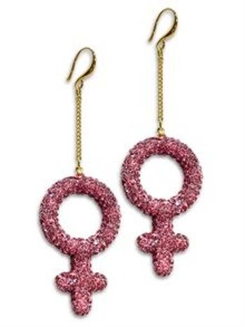 Boucle d'Oreille Femme Rhin-88051-01 1