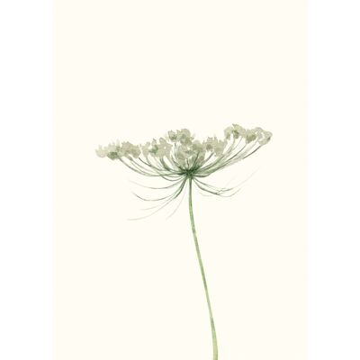Wildflower | Kaart Fripperies