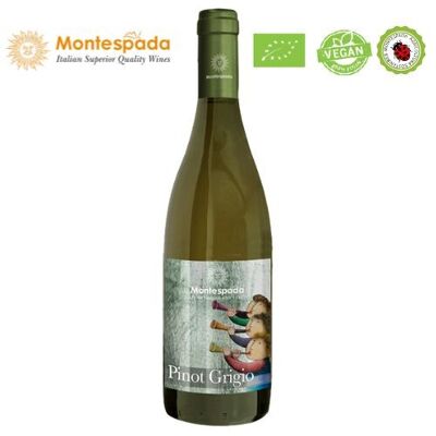 Montespada Pinot Grigio DOC 75cl Organic Vegan Vintage 2021