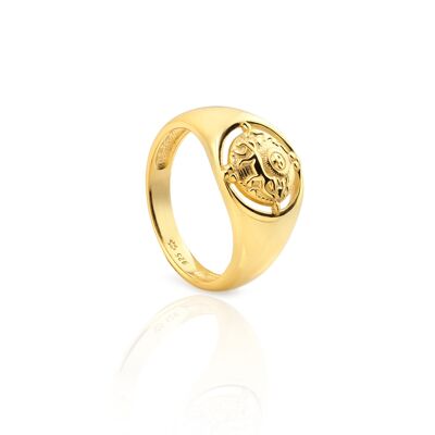 Anillo LIONNE oro