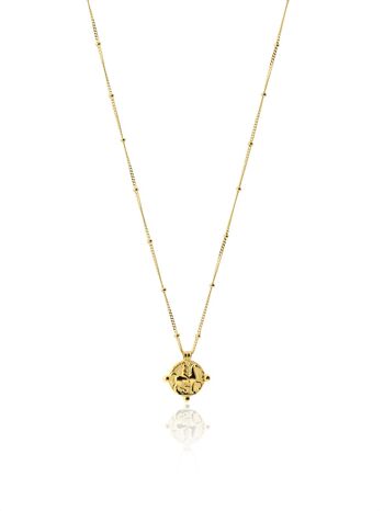 Collier WILD GLD. Argent sterling, bain d'or. petite médaille 1