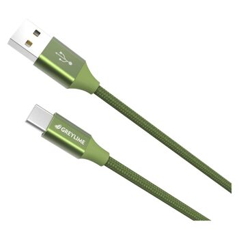 Câble tressé USB-A vers USB-C Vert - 2 mètres 2