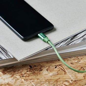 Câble tressé USB-A vers USB-C Vert - 2 mètres 3