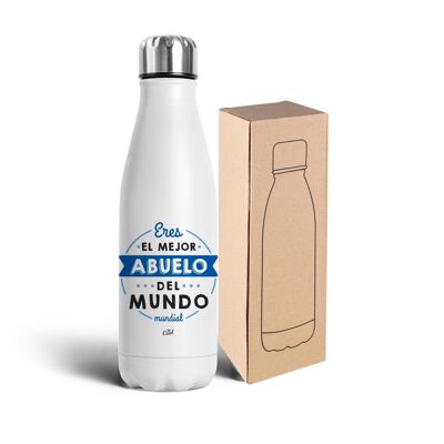 750ml stainless steel bottle - You are the best grandfather