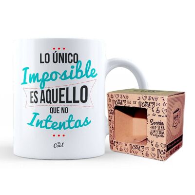 Mug – The only impossible thing is what you don't try