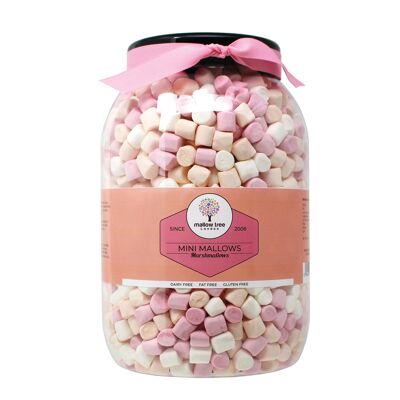 Vanilla Flavoured Mini Marshmallows Gift Jar, 600 g