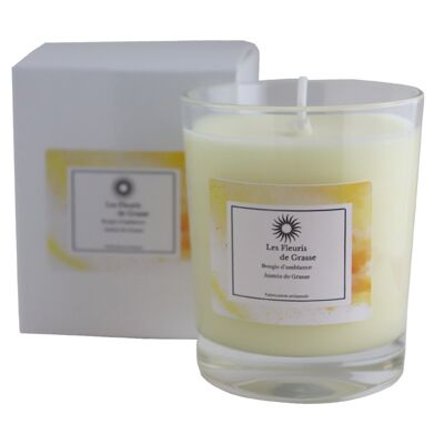 Candle 130g Jasmine from Grasse