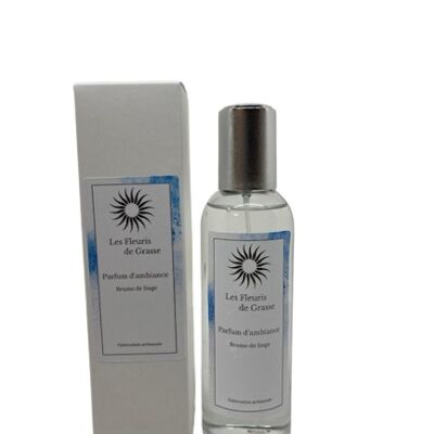 ROOM SPRAY 100 ML LAUNDRY MIST