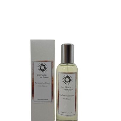 AMBIENTE SPRAY 100 ML PAN DI ZENZERO