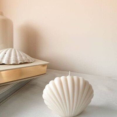 Shell Candle_Shell carne