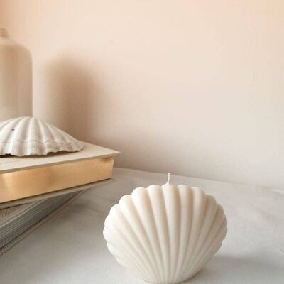 Shell Candle_Shell Rosa