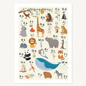 Affiche ABC, alphabet animal - DIN B2 2