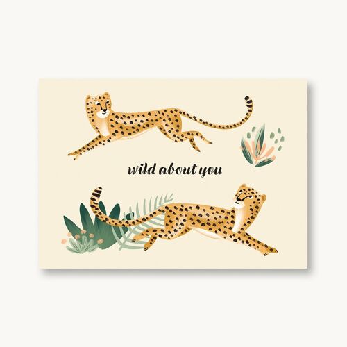 Postkarte Wild about you