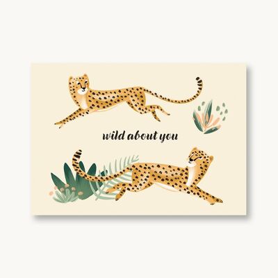 Postkarte Wild about you