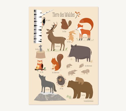 Tiere des Waldes, Poster - DIN A3