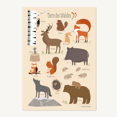 Animales del bosque, cartel - DIN A3