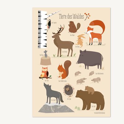Animali della foresta, poster - DIN A3