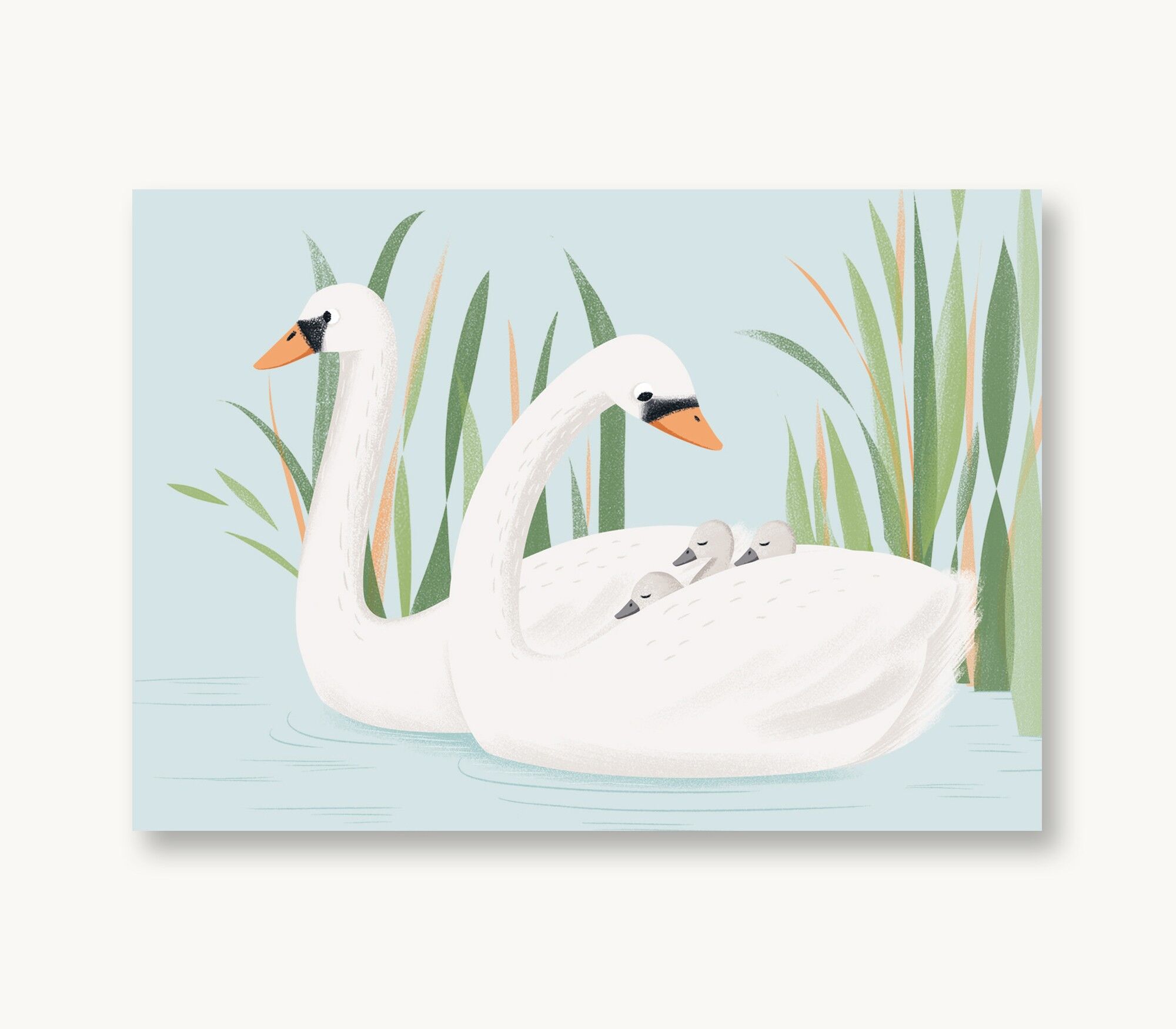 Postkarte Schwäne Familie