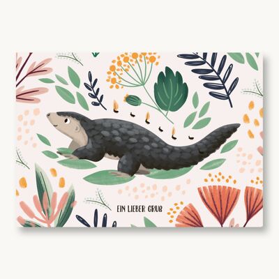 Postkarte Pangolin Ein lieber Gruß