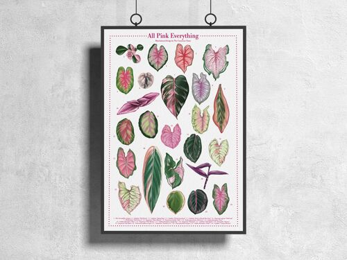 Plantspecies Poster "All Pink Everything" DIN A3