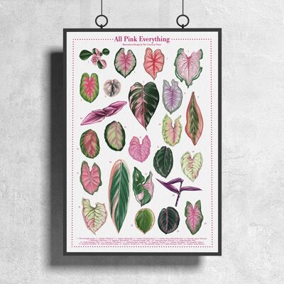 Poster di specie vegetali "Tutto rosa tutto" DIN A3