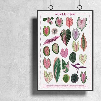 Affiche d'espèces végétales "All Pink Everything" DIN A3