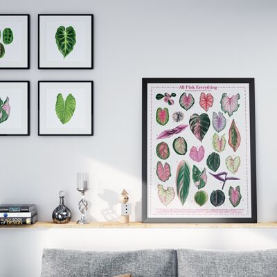 Póster Plantspecies "All Pink Everything" DIN A2