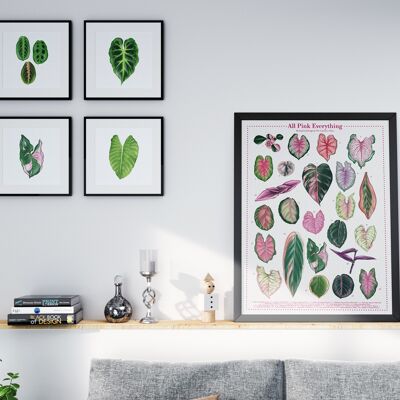 Poster di specie vegetali "Tutto rosa tutto" DIN A2
