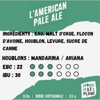 Bière  American Pale Ale 2