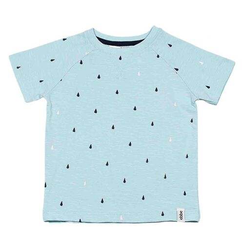 Lois Raglan Tee Light Turquoise