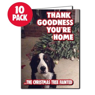 10 Pack Funny Christmas card - Pet Owner- Thank Goodness You're Home - 10packXM332