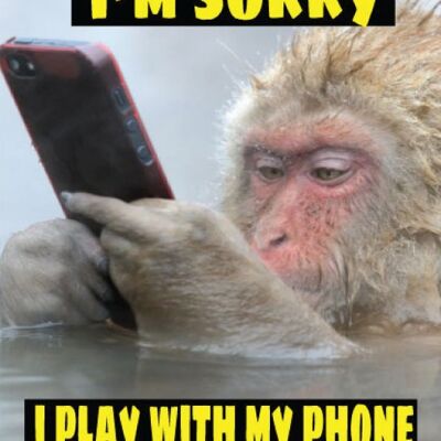 Play with my phone more than you - Valentine Card - V85