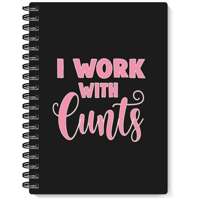 Novelty Notebook and pen I work with cunts NB07