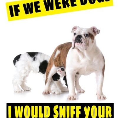 If we were dogs I'd sniff your bum - Rude Cards - C362