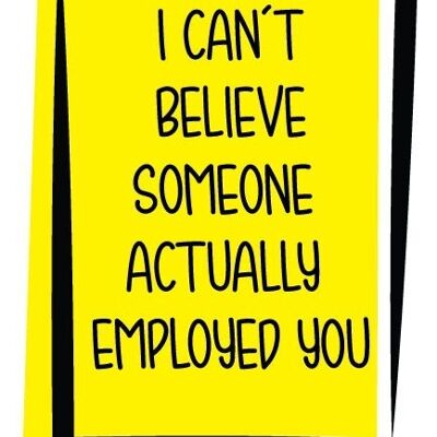 I CAN'T BELIEVE SOMEONE ACTUALLY EMPLOYED YOU - New Job & Leaving Card - N13