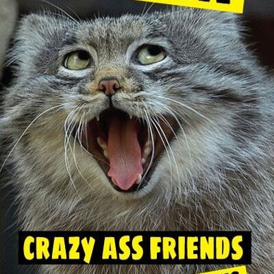 If you have crazy ass friends you have everything - Rude Cards - C336