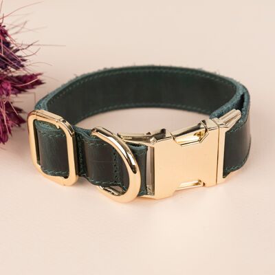 Genuine Leather Adjustable Strong Dog Collar - Green - Silver