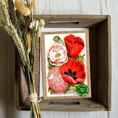 Wunderschön Vintage Wildblumen- und Mohnkarte – Samen im Inneren