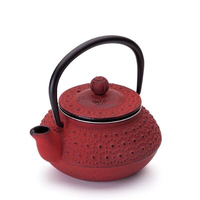 IBILI - Hanoi cast iron teapot, 0.3 liters, Enameled interior, Suitable for induction