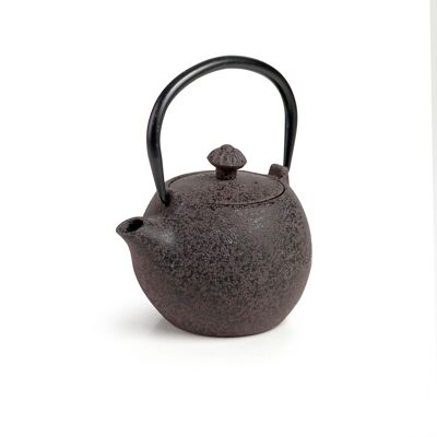 IBILI - Doha cast iron teapot, 0.3 liters, Enameled interior, Suitable for induction