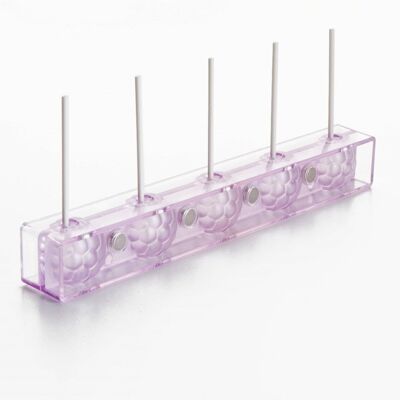 IBILI - Gummy mold + 24 sticks