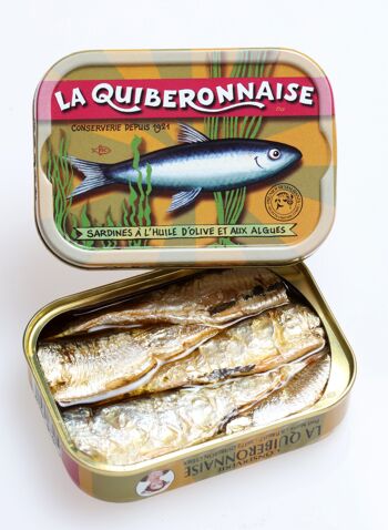 Sardines olive et algues 2